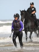 Image 70 in FRIESIANS ON HOLKHAM BEACH. 15 MAY 2016