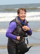 Image 74 in FRIESIANS ON HOLKHAM BEACH. 15 MAY 2016