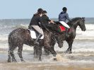 Image 75 in FRIESIANS ON HOLKHAM BEACH. 15 MAY 2016