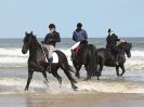Image 76 in FRIESIANS ON HOLKHAM BEACH. 15 MAY 2016