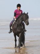Image 78 in FRIESIANS ON HOLKHAM BEACH. 15 MAY 2016