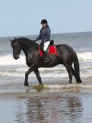 Image 79 in FRIESIANS ON HOLKHAM BEACH. 15 MAY 2016