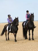 Image 8 in FRIESIANS ON HOLKHAM BEACH. 15 MAY 2016