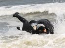 Image 81 in FRIESIANS ON HOLKHAM BEACH. 15 MAY 2016