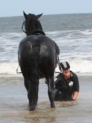 Image 83 in FRIESIANS ON HOLKHAM BEACH. 15 MAY 2016