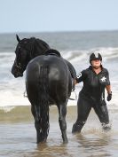 Image 84 in FRIESIANS ON HOLKHAM BEACH. 15 MAY 2016