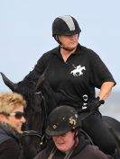 Image 88 in FRIESIANS ON HOLKHAM BEACH. 15 MAY 2016