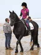 Image 89 in FRIESIANS ON HOLKHAM BEACH. 15 MAY 2016