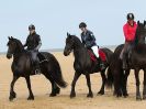 Image 9 in FRIESIANS ON HOLKHAM BEACH. 15 MAY 2016