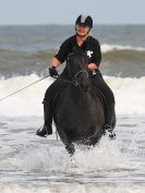 Image 90 in FRIESIANS ON HOLKHAM BEACH. 15 MAY 2016