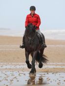 Image 91 in FRIESIANS ON HOLKHAM BEACH. 15 MAY 2016