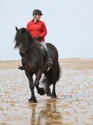 Image 92 in FRIESIANS ON HOLKHAM BEACH. 15 MAY 2016