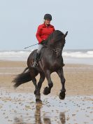 Image 93 in FRIESIANS ON HOLKHAM BEACH. 15 MAY 2016