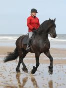 Image 94 in FRIESIANS ON HOLKHAM BEACH. 15 MAY 2016