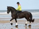 Image 95 in FRIESIANS ON HOLKHAM BEACH. 15 MAY 2016