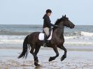 Image 98 in FRIESIANS ON HOLKHAM BEACH. 15 MAY 2016