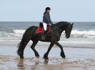 Image 99 in FRIESIANS ON HOLKHAM BEACH. 15 MAY 2016
