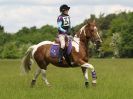 Image 101 in BECCLES AND BUNGAY  RC. OPEN SPRING HUNTER TRIAL  22 MAY 2016.  CLASS1. 70CM