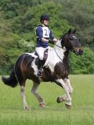 Image 13 in BECCLES AND BUNGAY RC. OPEN SPRING HUNTER TRIAL 22 MAY 2016. CLASS1. 70CM