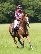 Image 60 in BECCLES AND BUNGAY RC. OPEN SPRING HUNTER TRIAL 22 MAY 2016. CLASS1. 70CM