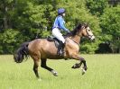 Image 77 in BECCLES AND BUNGAY RC. OPEN SPRING HUNTER TRIAL 22 MAY 2016. CLASS1. 70CM
