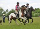 Image 18 in BECCLES AND BUNGAY  RC. OPEN SPRING HUNTER TRIAL  22 MAY 2016.  CLASS 2. PAIRS