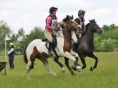 Image 18 in BECCLES AND BUNGAY RC. OPEN SPRING HUNTER TRIAL 22 MAY 2016. CLASS 2. PAIRS