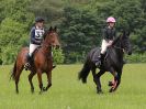 Image 39 in BECCLES AND BUNGAY RC. OPEN SPRING HUNTER TRIAL 22 MAY 2016. CLASS 2. PAIRS