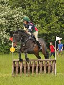 Image 12 in BECCLES AND BUNGAY  RC. OPEN SPRING HUNTER TRIAL  22 MAY 2016.  CLASSES 3 AND 4 .