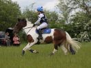 Image 14 in BECCLES AND BUNGAY  RC. OPEN SPRING HUNTER TRIAL  22 MAY 2016.  CLASSES 3 AND 4 .