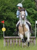 Image 21 in BECCLES AND BUNGAY  RC. OPEN SPRING HUNTER TRIAL  22 MAY 2016.  CLASSES 3 AND 4 .