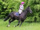 Image 26 in BECCLES AND BUNGAY  RC. OPEN SPRING HUNTER TRIAL  22 MAY 2016.  CLASSES 3 AND 4 .
