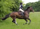 Image 34 in BECCLES AND BUNGAY  RC. OPEN SPRING HUNTER TRIAL  22 MAY 2016.  CLASSES 3 AND 4 .