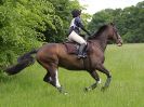 Image 34 in BECCLES AND BUNGAY RC. OPEN SPRING HUNTER TRIAL 22 MAY 2016. CLASSES 3 AND 4 .