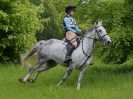 Image 36 in BECCLES AND BUNGAY  RC. OPEN SPRING HUNTER TRIAL  22 MAY 2016.  CLASSES 3 AND 4 .