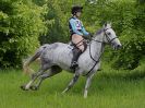 Image 36 in BECCLES AND BUNGAY RC. OPEN SPRING HUNTER TRIAL 22 MAY 2016. CLASSES 3 AND 4 .