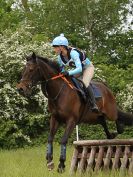 Image 41 in BECCLES AND BUNGAY RC. OPEN SPRING HUNTER TRIAL 22 MAY 2016. CLASSES 3 AND 4 .