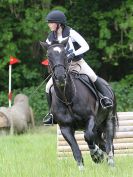 Image 59 in BECCLES AND BUNGAY  RC. OPEN SPRING HUNTER TRIAL  22 MAY 2016.  CLASSES 3 AND 4 .