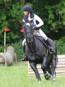 Image 59 in BECCLES AND BUNGAY RC. OPEN SPRING HUNTER TRIAL 22 MAY 2016. CLASSES 3 AND 4 .