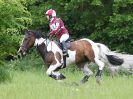 Image 71 in BECCLES AND BUNGAY  RC. OPEN SPRING HUNTER TRIAL  22 MAY 2016.  CLASSES 3 AND 4 .