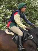 Image 98 in BECCLES AND BUNGAY RC. OPEN SPRING HUNTER TRIAL 22 MAY 2016. CLASSES 3 AND 4 .