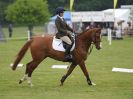 Image 14 in HOUGHTON INTL. 2016. BURGHLEY YOUNG EVENT HORSE 4YO SERIES.