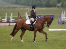 Image 15 in HOUGHTON INTL. 2016. BURGHLEY YOUNG EVENT HORSE 4YO SERIES.
