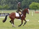 Image 18 in HOUGHTON INTL. 2016. BURGHLEY YOUNG EVENT HORSE 4YO SERIES.