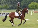 Image 18 in HOUGHTON INTL. 2016. BURGHLEY YOUNG EVENT HORSE 4YO SERIES.
