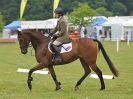 Image 20 in HOUGHTON INTL. 2016. BURGHLEY YOUNG EVENT HORSE 4YO SERIES.