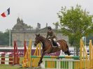 Image 21 in HOUGHTON INTL. 2016. BURGHLEY YOUNG EVENT HORSE 4YO SERIES.