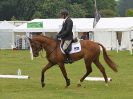 Image 22 in HOUGHTON INTL. 2016. BURGHLEY YOUNG EVENT HORSE 4YO SERIES.