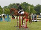 Image 24 in HOUGHTON INTL. 2016. BURGHLEY YOUNG EVENT HORSE 4YO SERIES.