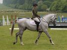 Image 26 in HOUGHTON INTL. 2016. BURGHLEY YOUNG EVENT HORSE 4YO SERIES.